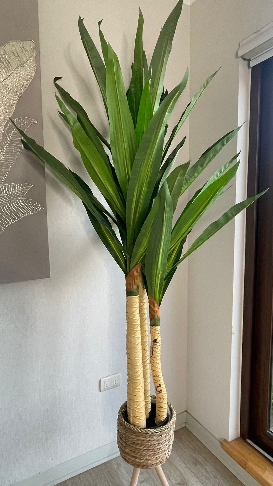 Planta Artificial PALO DE AGUA - Altura 1.65 m - Parece Real