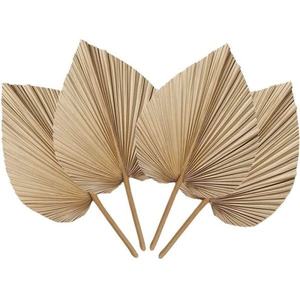 Hojas de Palma Secas - Accesorio Perfecto para Decoraciones Únicas y Elegantes