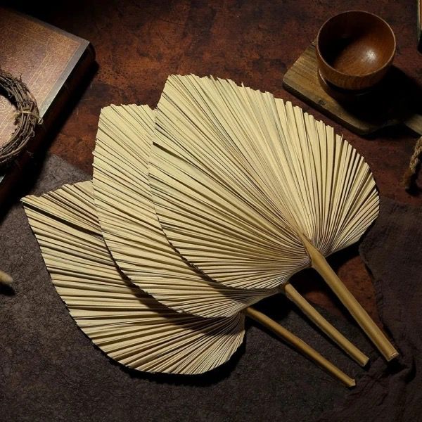 Hojas de Palma Secas - Accesorio Perfecto para Decoraciones Únicas y Elegantes