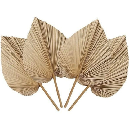 Hojas de Palma Secas - Accesorio Perfecto para Decoraciones Únicas y Elegantes